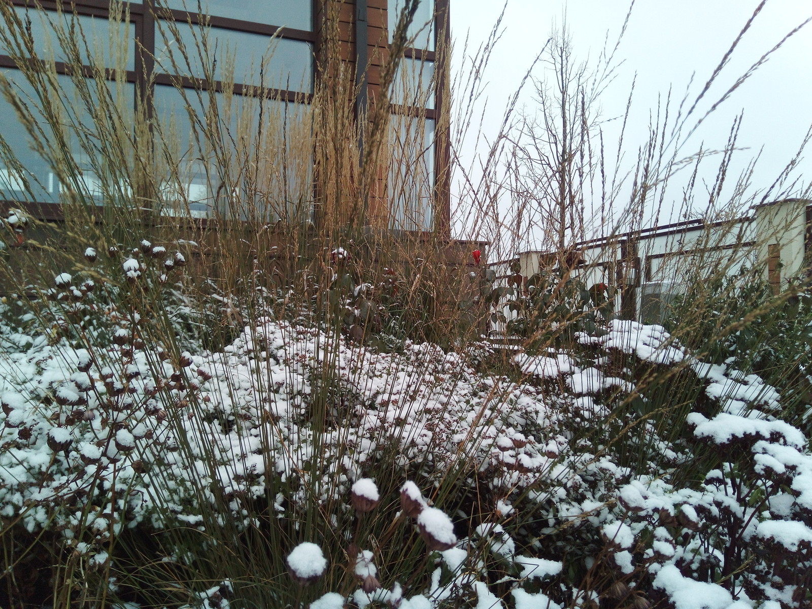 кп "Мартемьяново" - Профессиональный уход за садом - 100% качество!