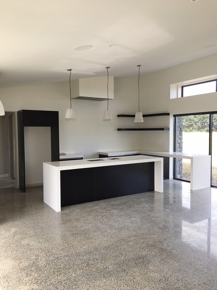 Contemporary kitchen in Christchurch.