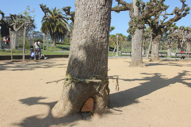 Did Elves Make A Home In A San Francisco Park