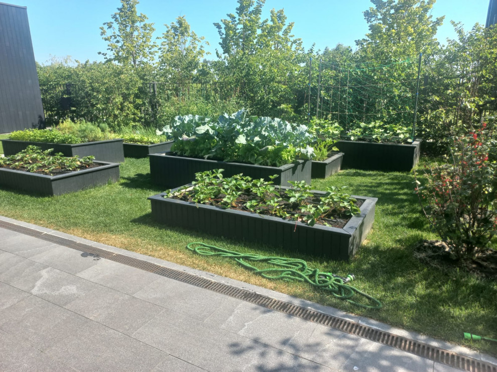 Landscape design of the territory (Voronezh region)