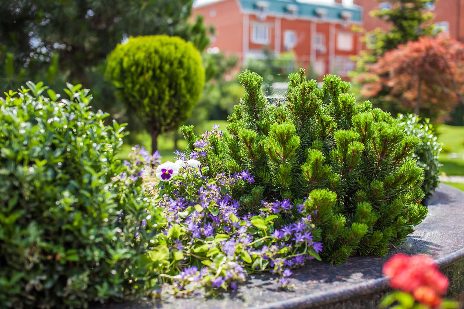 Ландшафтный дизайн