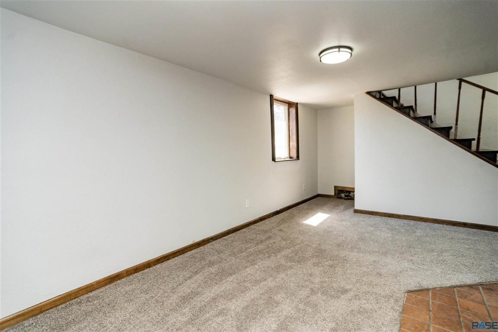 Basement Living Room