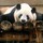 peggy_ho