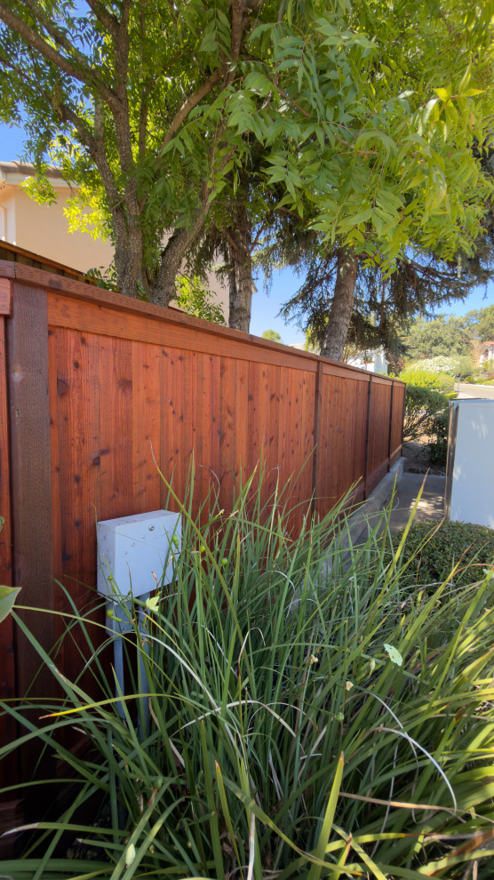 Complete Backyard & Landscape Renovation