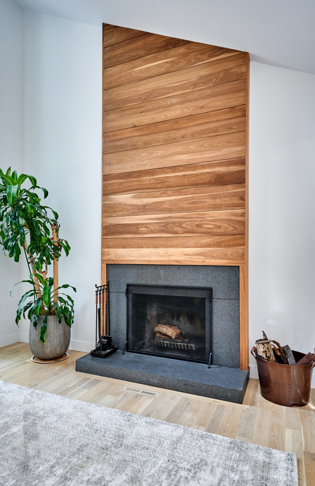 Inspiration for a transitional home design remodel in Denver