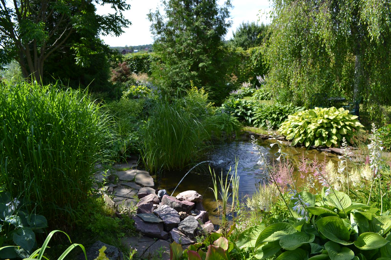 Сад  «Моя цветущая планета».