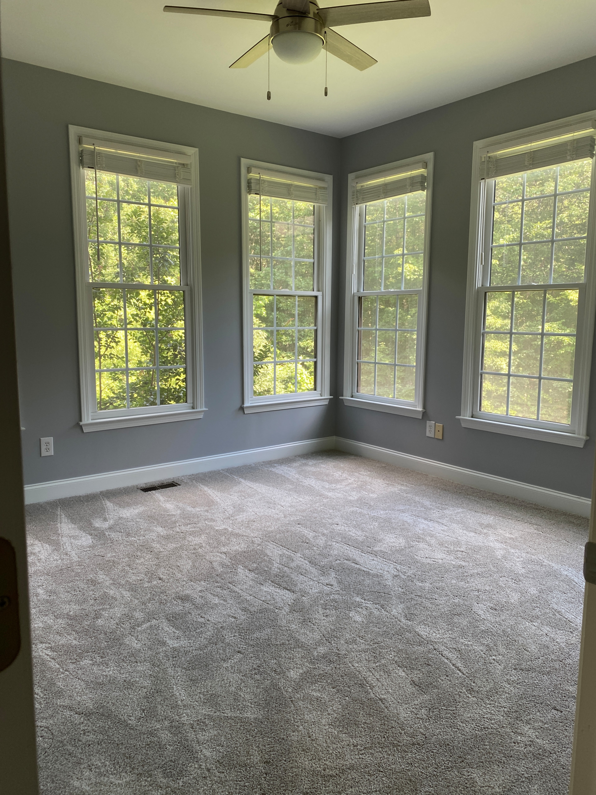Entire Home Renovation
