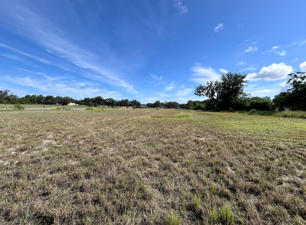 Commercial Clean Up and Mowing