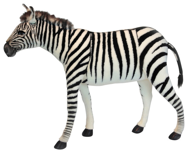 hansa zebra