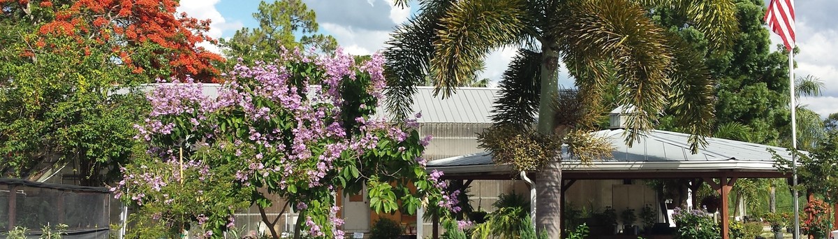 Scotts Landscape Nursery North Fort Myers Fl Us