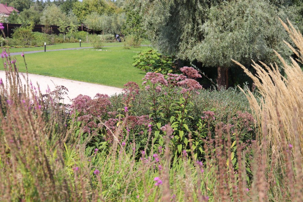 WB Берег пруда (август)