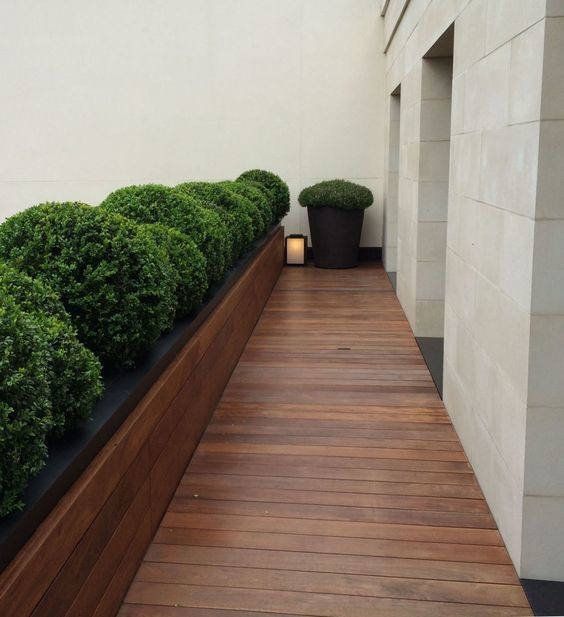 Containers, Planters & Pots contemporary-deck