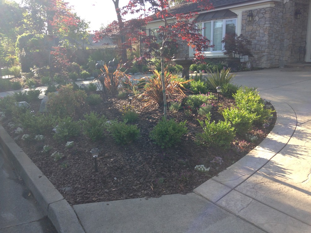 Planters/ Retaining Walls