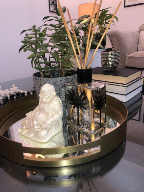 Formal Living Room Project trendy-dagligstue