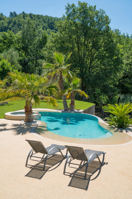 Piscines de forme libre trendy-pool