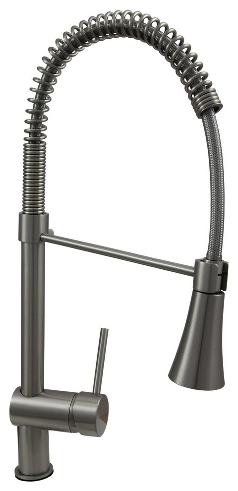 Contemporary Kitchen Brushed Nickel Swivel Faucet