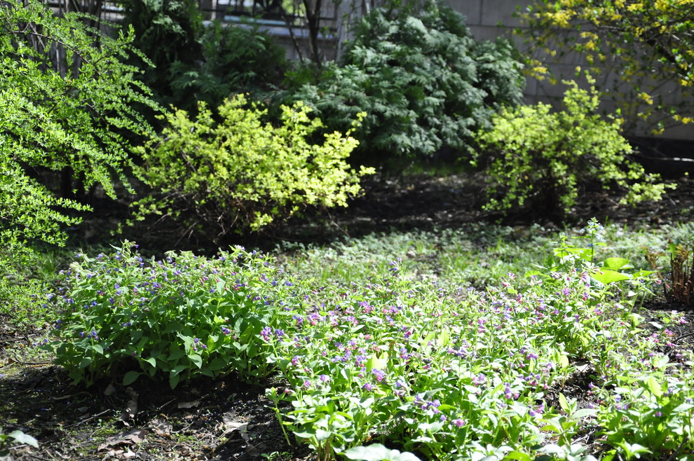 кп. "Архангельское" - Уход за садом - 100% качество!