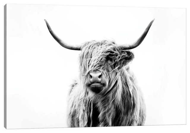 "Portrait Of A Highland Cow" by Dorit Fuhg, 12x8x0.75", Black Frame, 1pc3-40x26