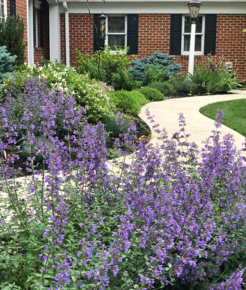 Inspiration for a large classic front xeriscape full sun garden for spring in Other with a flowerbed.