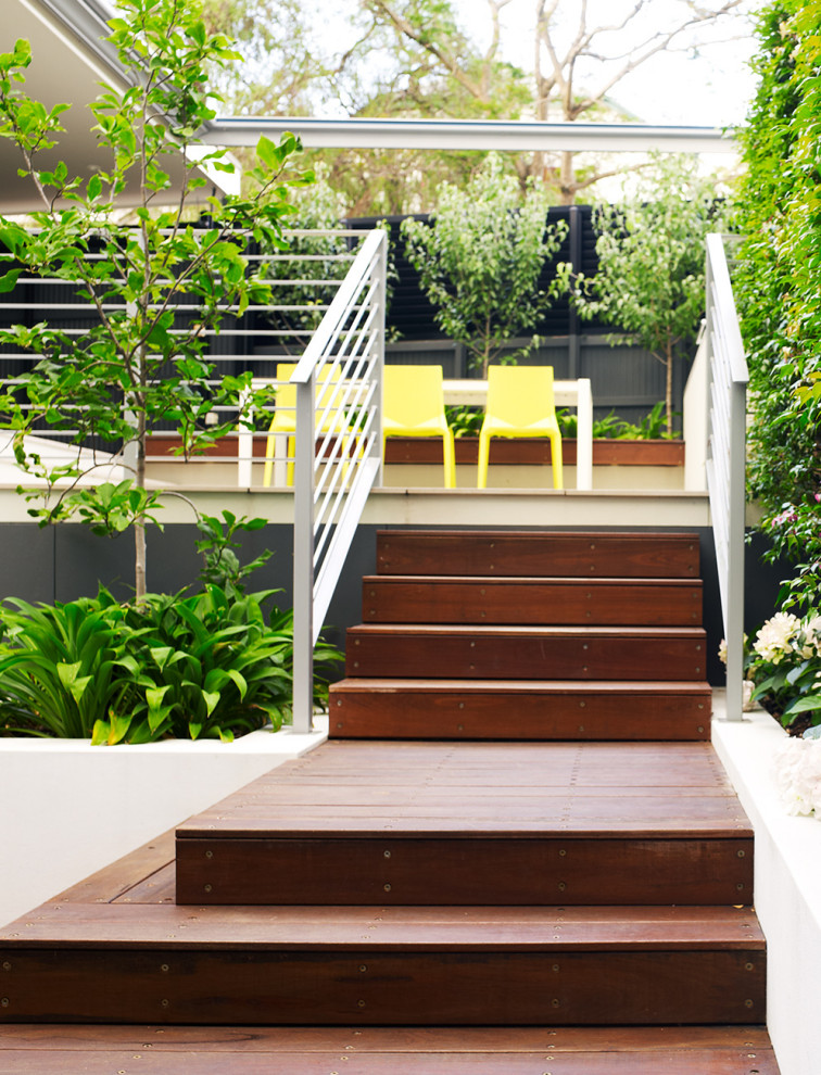 Inspiration for a mid-sized contemporary backyard formal garden in Sydney.