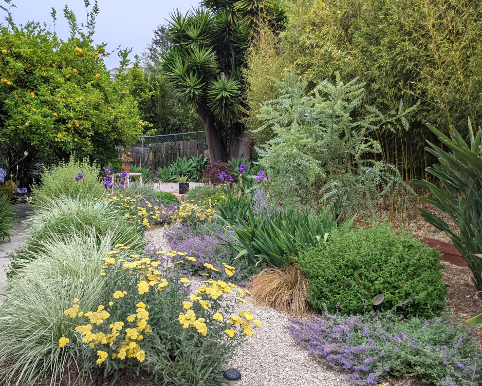 Idee per un piccolo giardino xeriscape mediterraneo dietro casa