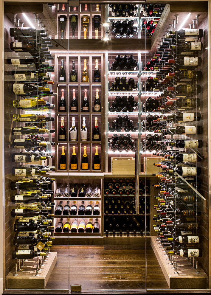Design ideas for a contemporary wine cellar in Toronto with dark hardwood floors and storage racks.