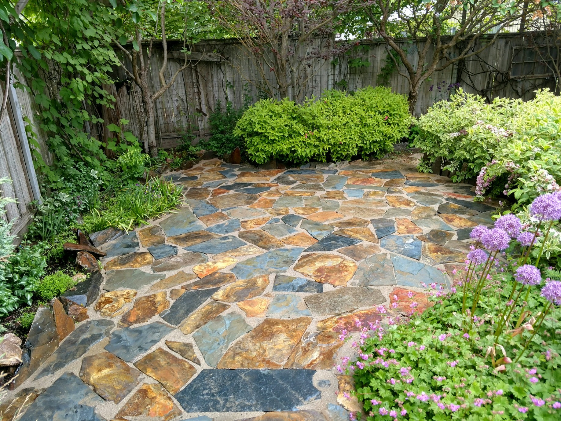 Stone Walkway & Patio