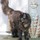 charlise_rowley