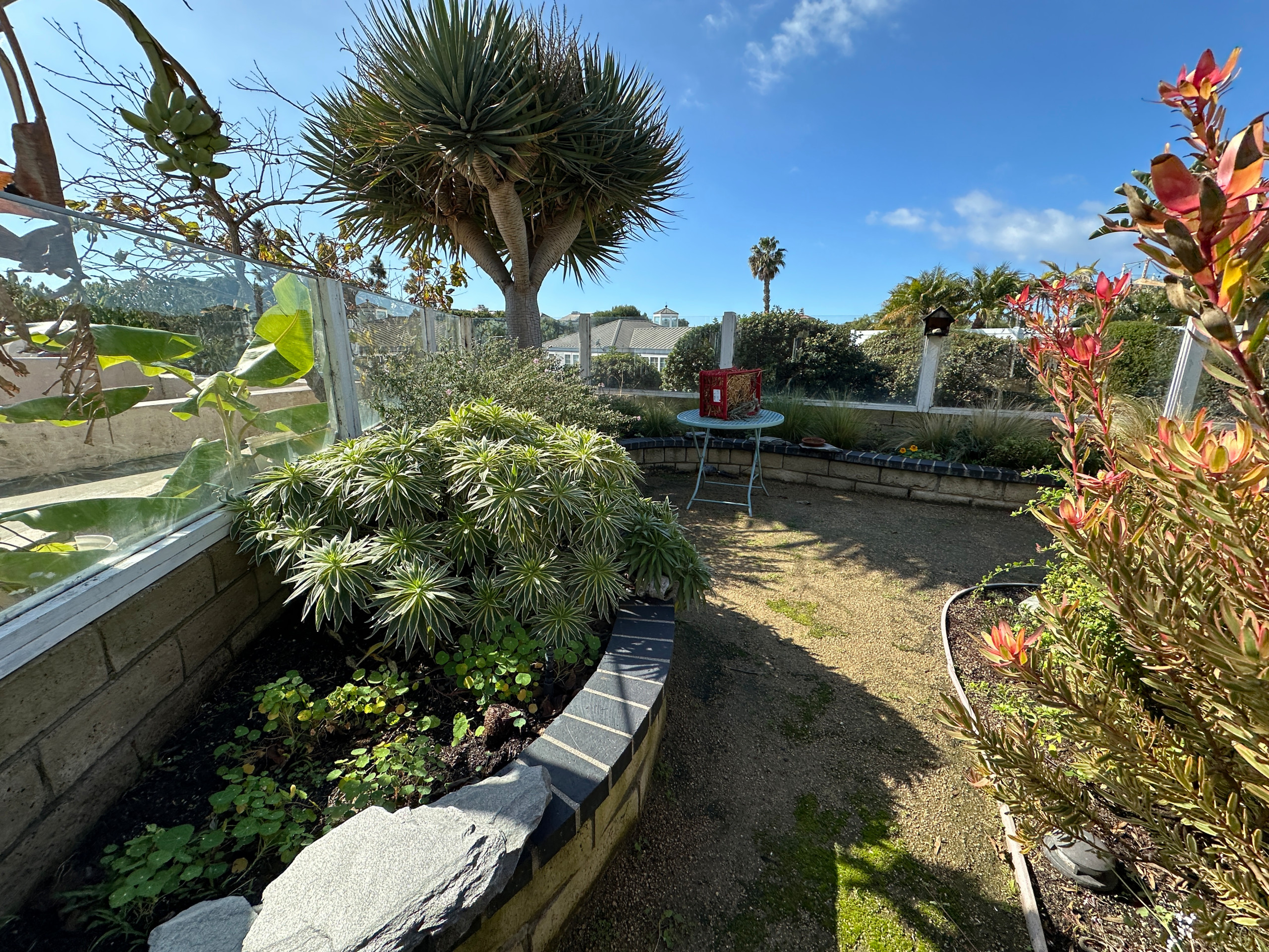 Naturalistic Drought-Tolerant Potager Garden