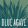 Blue Agave Landscape Design