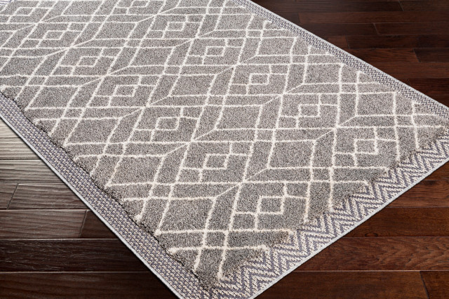 Sousse SUS-2306 Area Rug, 4'2