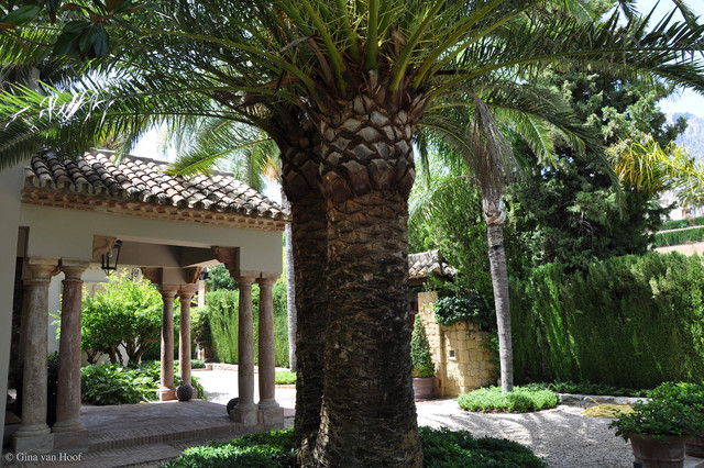 Spain transitional