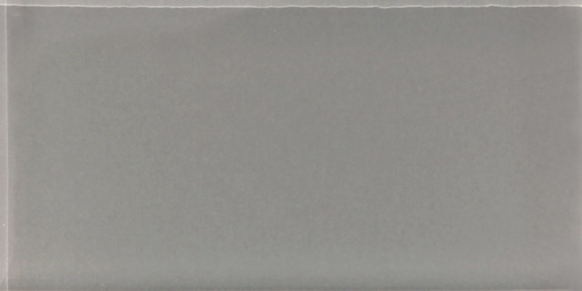 Pale Gloss 8x16 - Contemporary - Wall And Floor Tile - by PARMA HOME