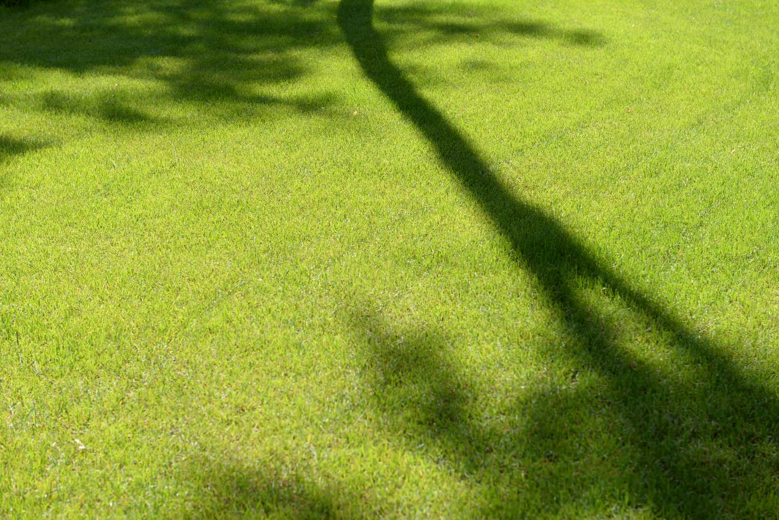 Новогорск 2021