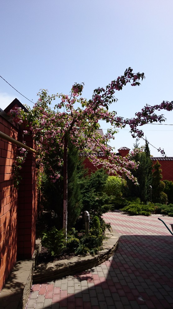 Оазис среди каменных джунглей