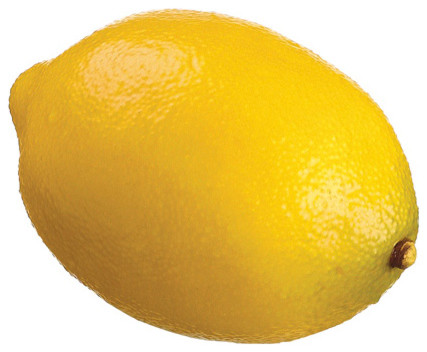 Silk Plants Direct Lemon, Set of 6