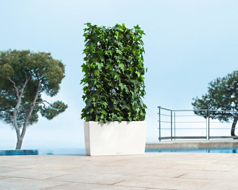 На вершине моды!