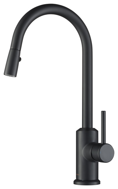 Brighton Kitchen Faucet Spray Head Gooseneck Contemporary