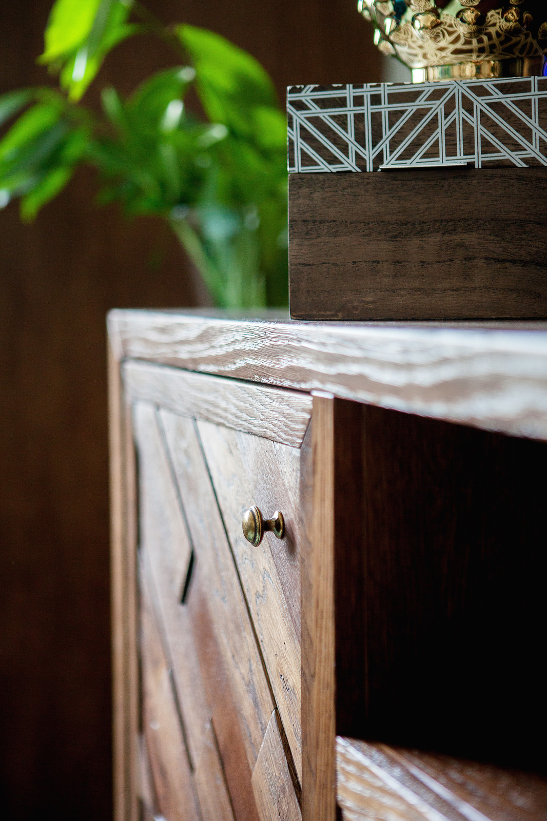 Тропическая гостиная