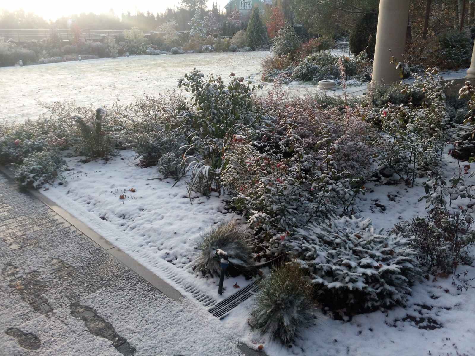 Сад и цветник в английском стиле