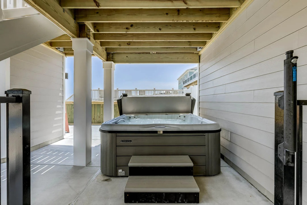 Dolphin Watch (2023)