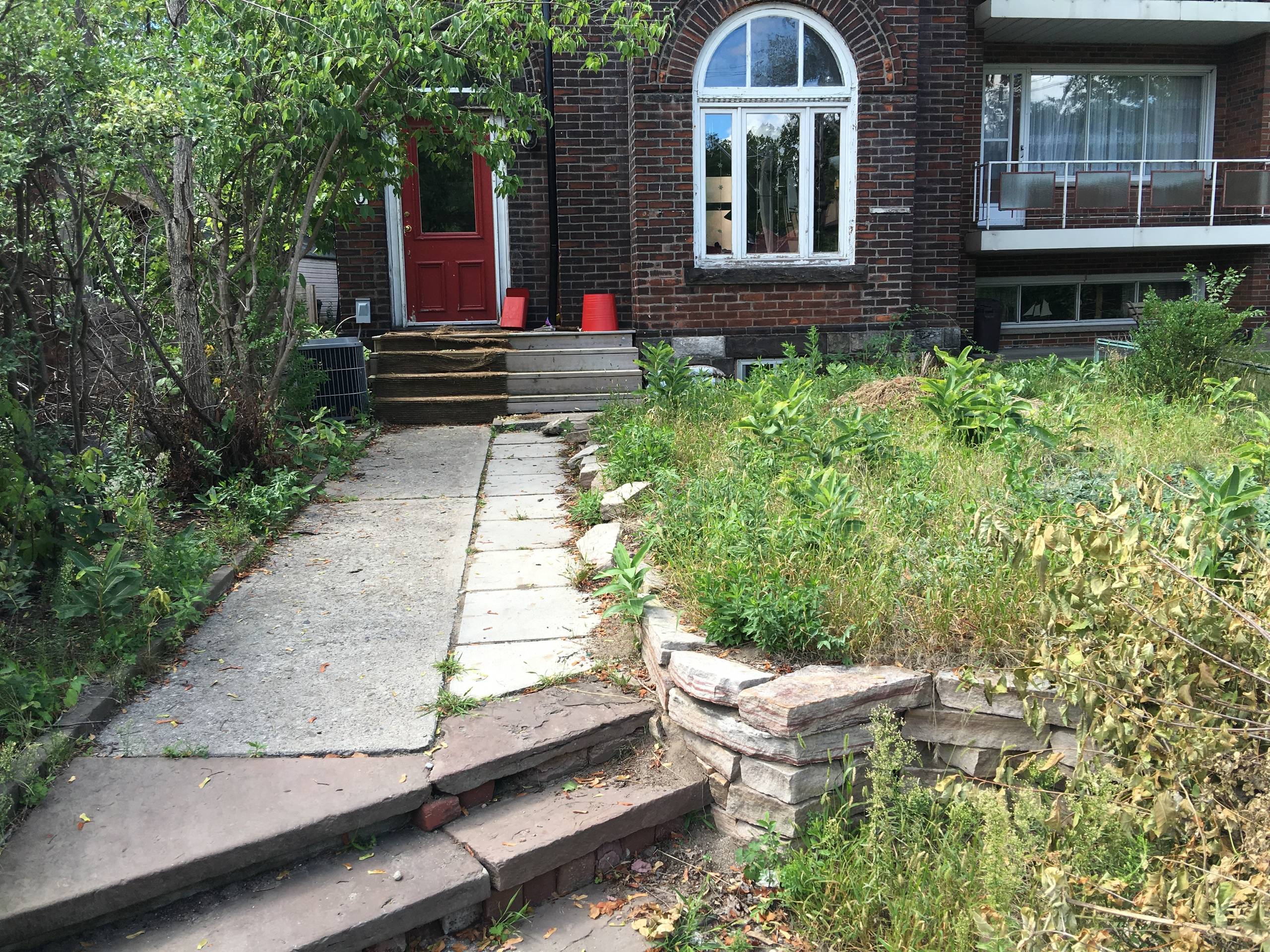 High Park Front Yard Before Picture
