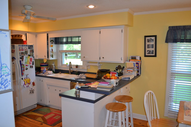 Extensive Remodel craftsman
