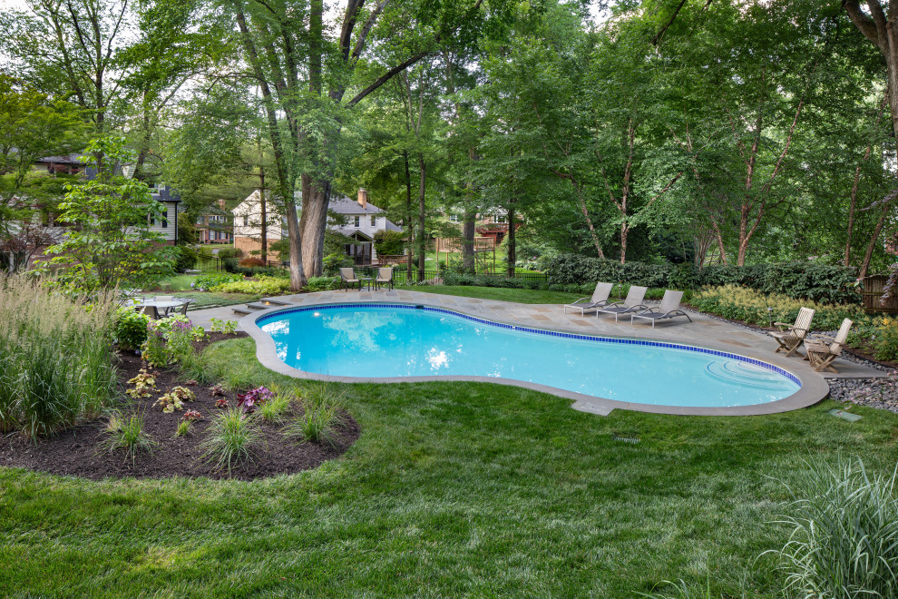 Inspiration for a transitional stone and custom-shaped pool landscaping remodel in DC Metro