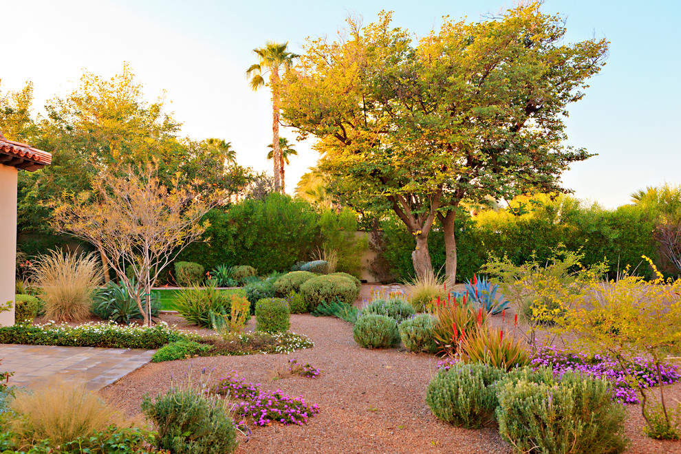 Design ideas for a mediterranean backyard garden in Phoenix.