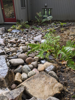 Houston River Rocks - Landscaping Trends in Texas with Beach Pebbles
