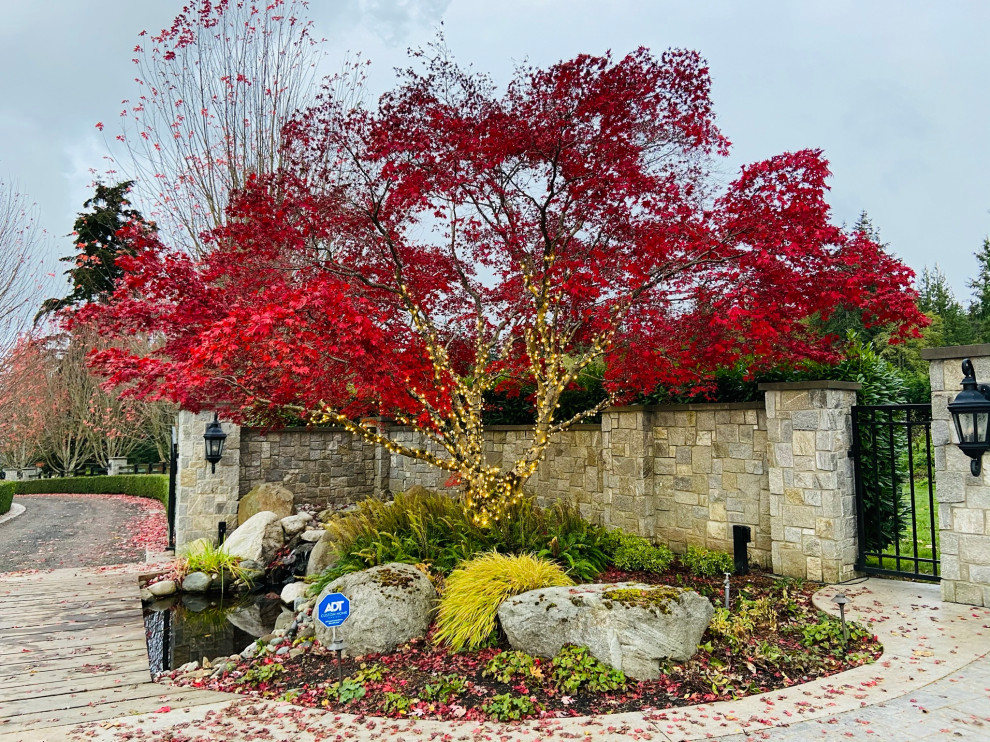 Design ideas for a landscaping in Seattle for fall.