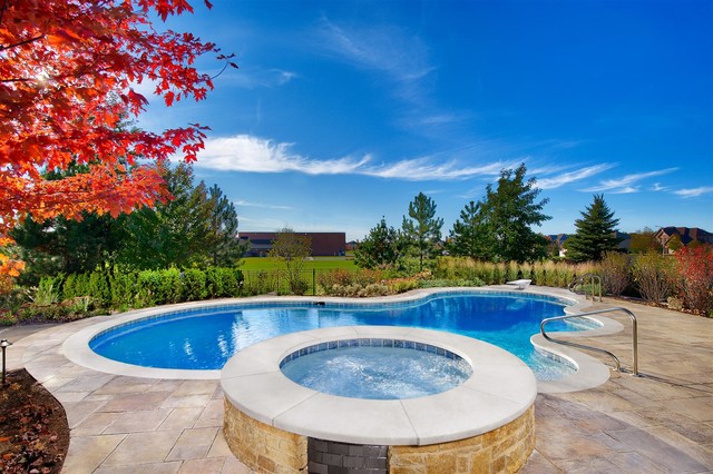 Naperville Il Freeform Swimming Pool And Raised Hot Tub Traditional