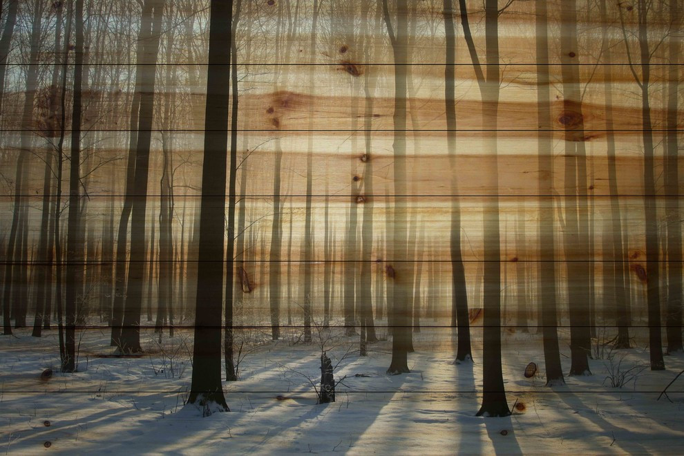 "Papineau" UV Ink Print on Natural Pine Wood, 60"x40"