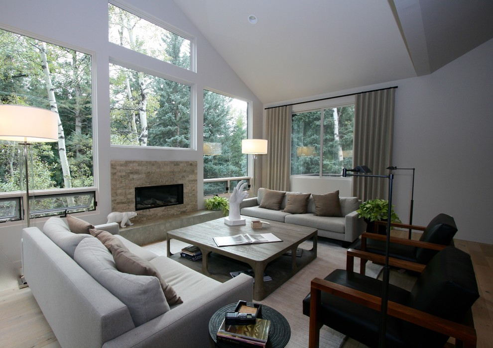 Example of a minimalist living room design in Denver